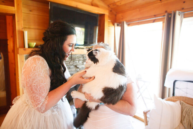 Hey Taylor Swift, Bookmark This Article on Ways to Include Your Cats in Your Wedding