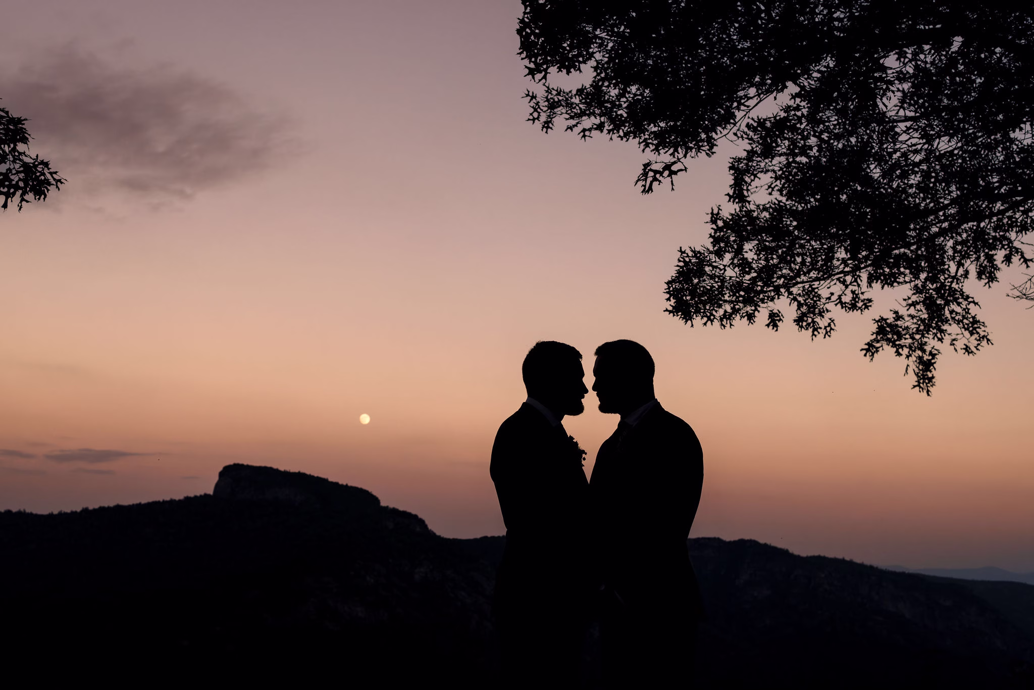 Amy Haynes Photography